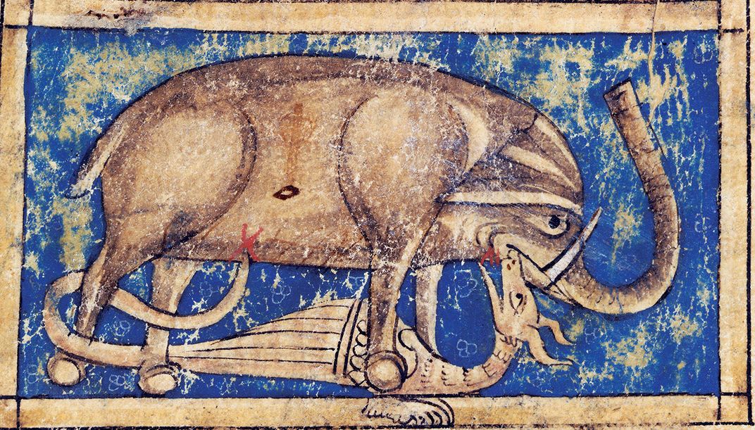 An artist's depiction of a dragon fighting an elephant