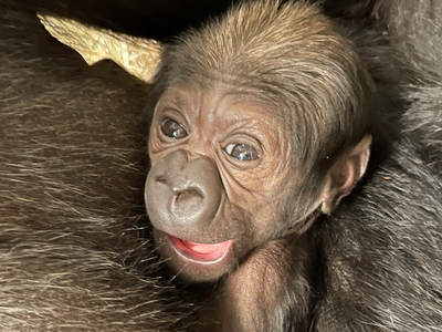 baby-closeup.png